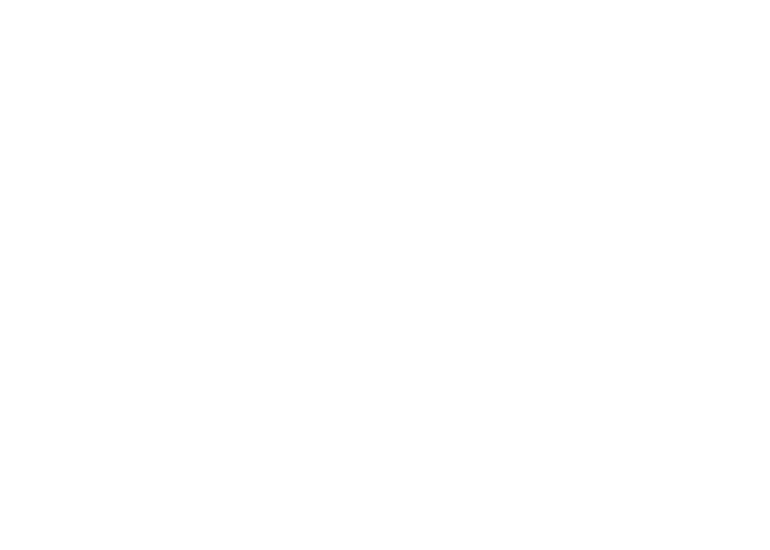 Information Systems Engineering